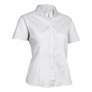 Park Lane Ladies Short-Sleeved Oxford Blouse